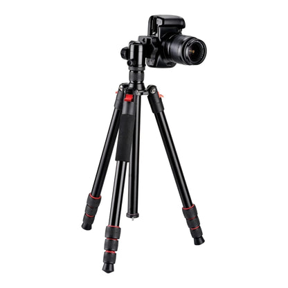 GDX 2550 Fotoğraf ve Kamera Tripod
