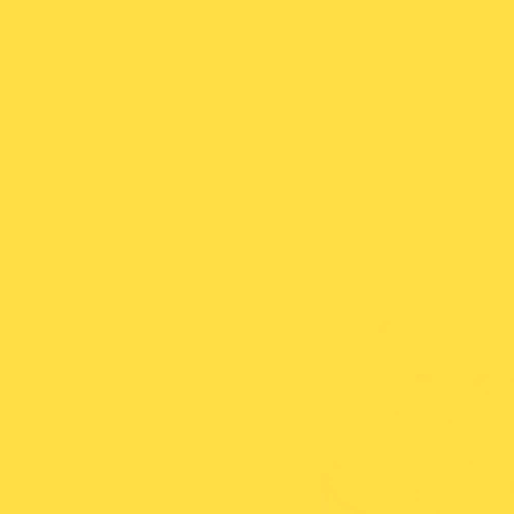 GDX Canary Sarı Kağıt Sonsuz Fon Perde 2.70x11m Dikişsiz Mat Yüzey Fotoğraf ve Video Fonu