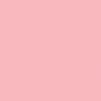 Gdx Kağıt Sonsuz Stüdyo Fon Perde (Coral) 2.70x11 Metre