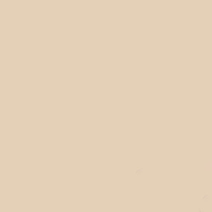 Gdx Kağıt Sonsuz Stüdyo Fon Perde (Egg Nog) 2.70x11 Metre
