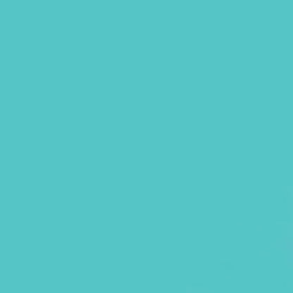 Gdx Seyyar Kağıt Sonsuz Stüdyo Fon Perde (Baby Blue) 2.70x11 Metre