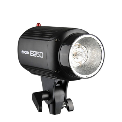 Godox E250 Studio Flash Head (250 Watt)