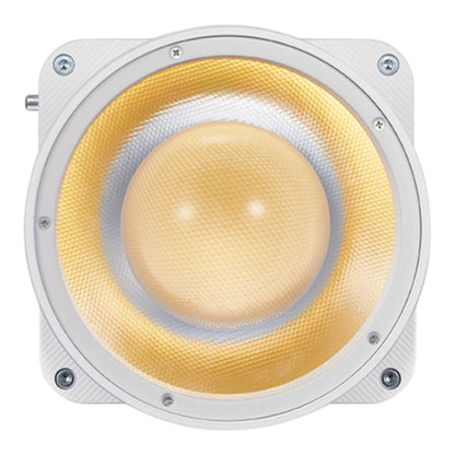 Godox ML80Bi Taşınabilir Bi-Color Bataryalı COB LED Video Işığı (2800K-6500K / ML-BA Bataryalı Kit)